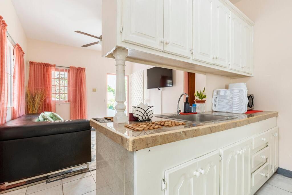 Shaw Park Gem Apartment Ocho Rios Bagian luar foto